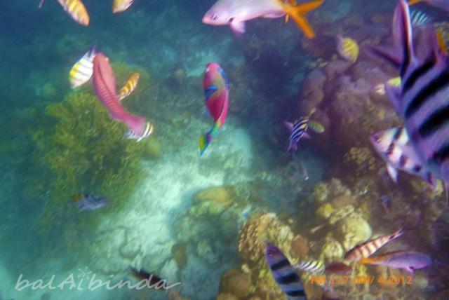 Balaibinda Lodge Coron Exterior foto